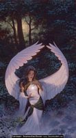 Angels