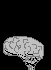 (brain)