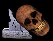 skull