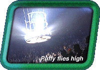Puffy Flies in Live