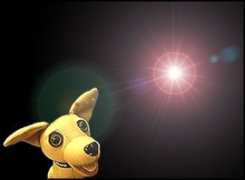 Taco Bell Chihuahua