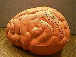 Nerf Brain!