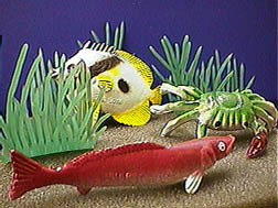 Mulder's Fish Tank