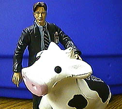 A boy and his Xmas-cow