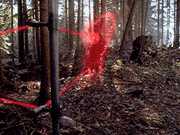Invisible Alien in Forest