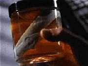Fluke in a Jar