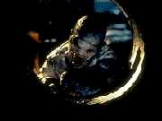 Flukie in a Sewer Pipe