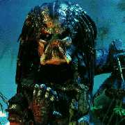 Predator Alien