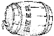 Beer Keg