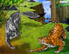 97feb-true-nature.JPG (362790 bytes)