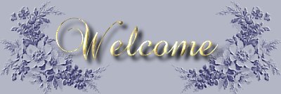 /user/n39banner.jpg