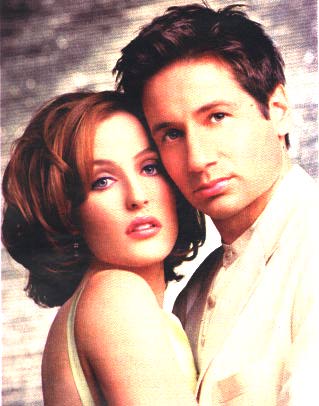 TV Guide
