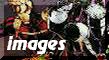 IMAGE GALLERY