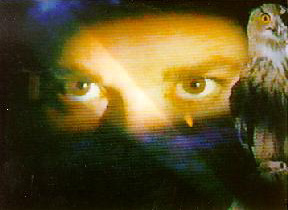 Hawk Eyes