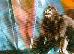 The She-Wolf