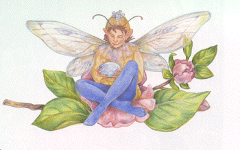 fairy jewel