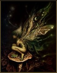 Lily Fairy