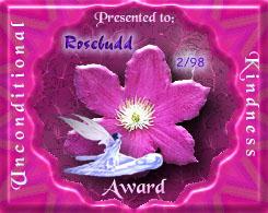 Kindness Award