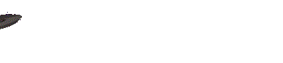 linesh_6.gif (37555 bytes)