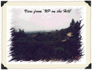 Where Dad's remains are scattered