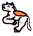 Araine's Foal picture