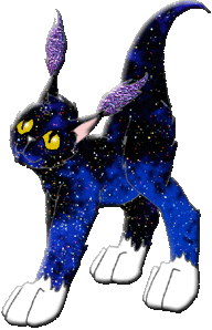 Starry Night