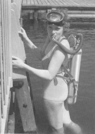 dd_1.jpg (48257 bytes)