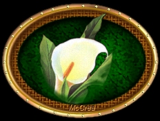 Aeia Symbol