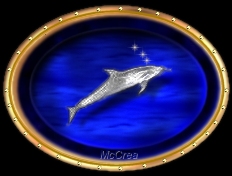 Niima Symbol
