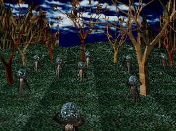 Twilight forrest