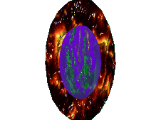 Portal
