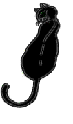 Green-eyed-blk-cat/tail plays/ani-image