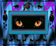 Catti-Tribe Cat's Eyes