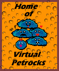 Pet Rock Adoption Center