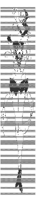 sjupiterb.gif - 4725 Bytes