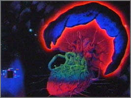 doom tree