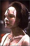 Prof. Natima Lang