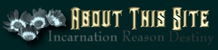 About this Site