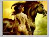 fine steed
