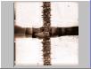 Crossed