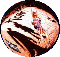 cdimage1.gif (29146 bytes)