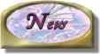 Get the latest scoop on what's new in the RainBow Dragon Ring and the Forum.  