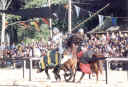 renfaire24.jpg (91138 bytes)