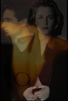 never again collage