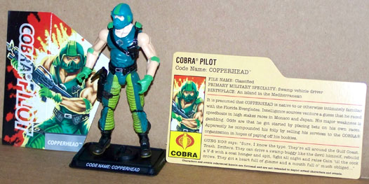 25th Copperhead loose