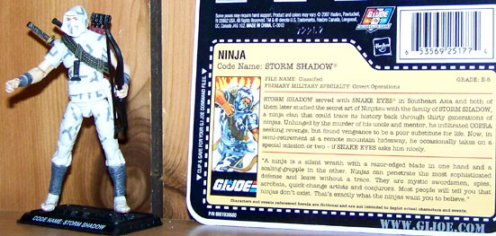 25th Storm Shadow 1988 loose