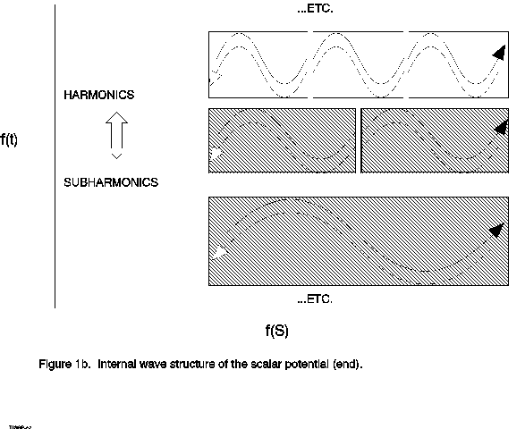 Figure 1B