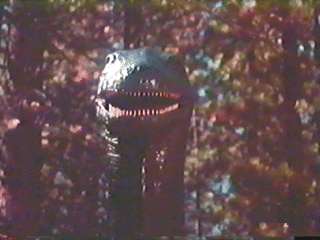 Loch Ness Monster?