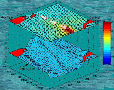 ocean cross section showing differences in water temperature layers