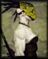 Bluff by BROM